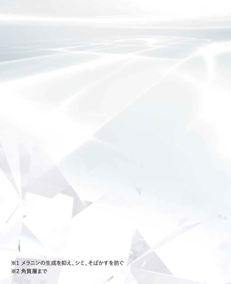 ※1 メラニンの生成を抑え、シミ、そばかすを防ぐ※2 角質層まで