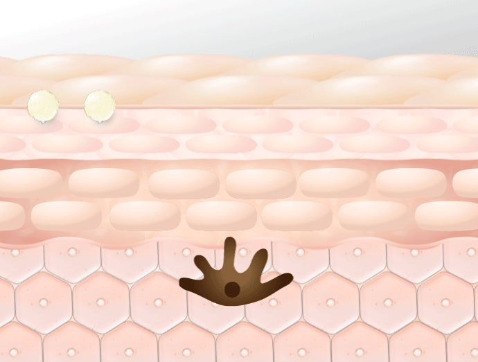 トリプルブロック処方で肌集中美白ケアする様子